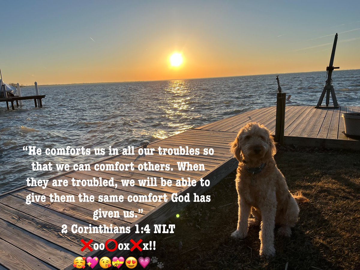 “He comforts us in all our troubles so that we can comfort others. When they are troubled, we will be able to give them the same comfort God has given us.” 2 Corinthians 1:4 NLT ❌oo⭕️ox❌x!! 🥰💖😘💝😍💗🐾