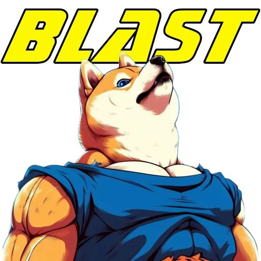 BlastInuFun's tweet photo. Every chain needs a top meme - $BINU is the answer #BlastInu https://t.co/NSqCKw97nH