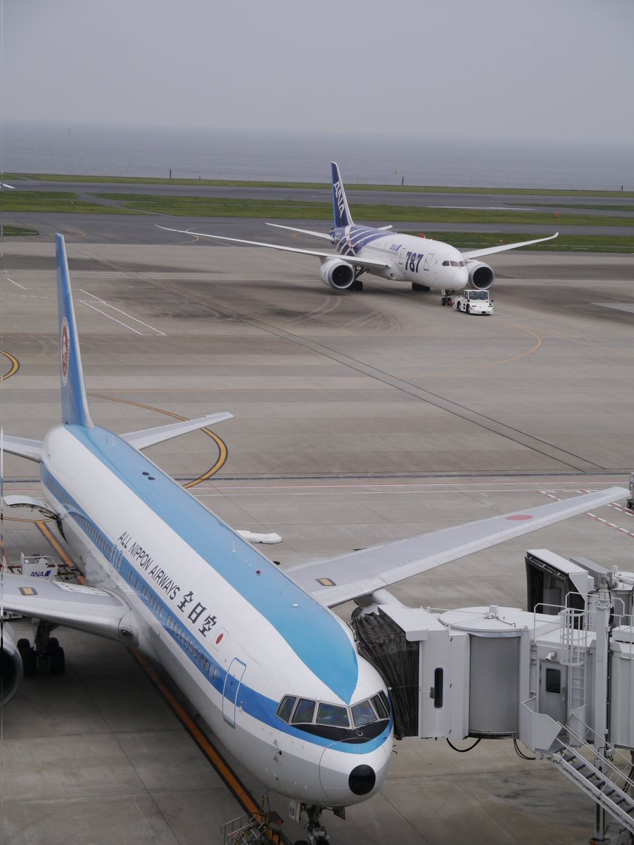 uuban_gya's tweet photo. 「こんなもの撮っていた!」シリーズ
2012.4.26
#東京国際空港 #RJTT #HND
#ANA
#B787 #JA801A
通称・鯖
好きだったこの塗装。
ANAのB787初号機。
#B767 #JA602A
#モヒカンブルー復刻機
尾翼に当時のレオナルド・ダ・ヴィンチのヘリ社章。
実は私の名付け親、1979年にモヒカンL-1011の横でCM出演🤭。 https://t.co/JQdp1WxTh3