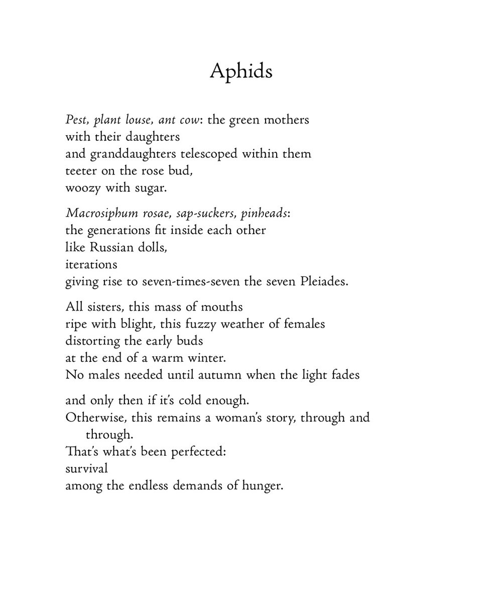 ‘Otherwise, this remains a woman’s story, through and / through. / That’s what’s been perfected: / survival / among the endless demands of hunger.’ Celebrating #InternationalWomensDay with ‘Aphids’ from Jemma Borg’s @jemma_borg Wilder. bit.ly/borgwilder