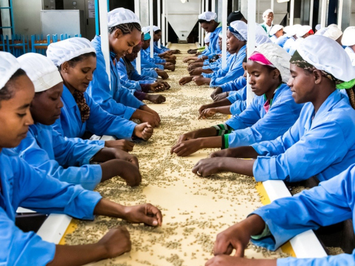 Lucy Jong’a tweet media