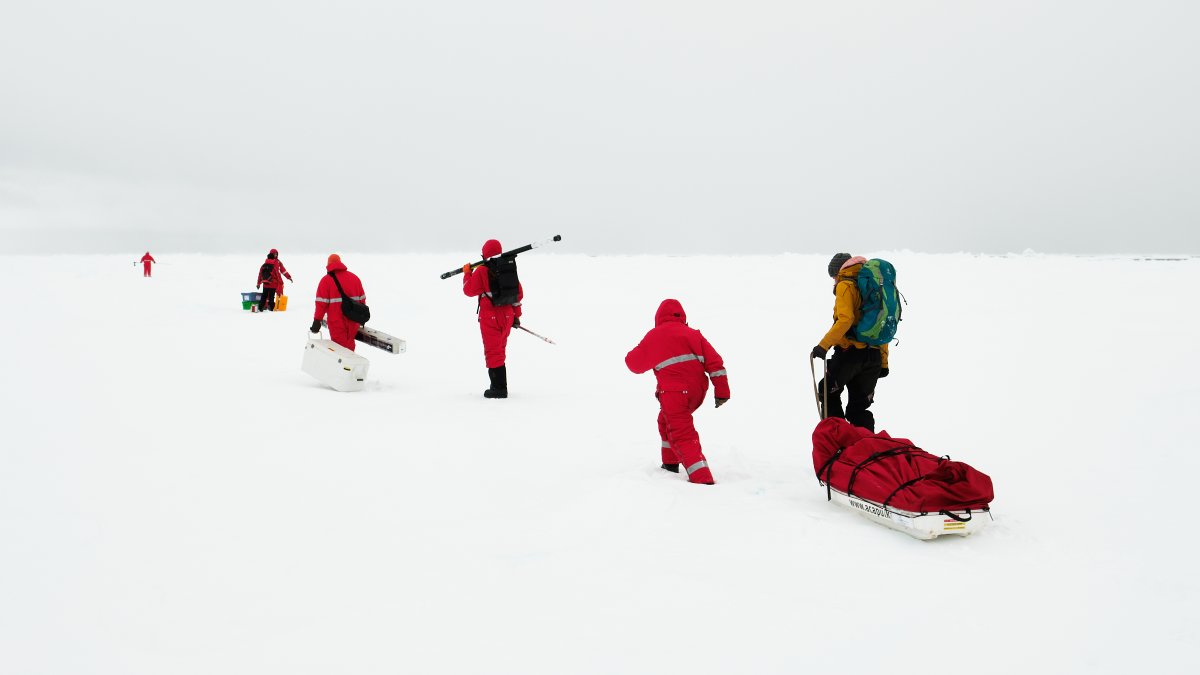 #JobAlert 🤓 Excited to expand my #SNOWflAke team at @AWI_Media and @CENunihh! Seeking a PhD student to delve into Antarctic sea ice mass budget, integrating satellite remote sensing, field data and snow models. 🧊❄️ More details 👉 jobs.awi.de/Vacancies/1613…