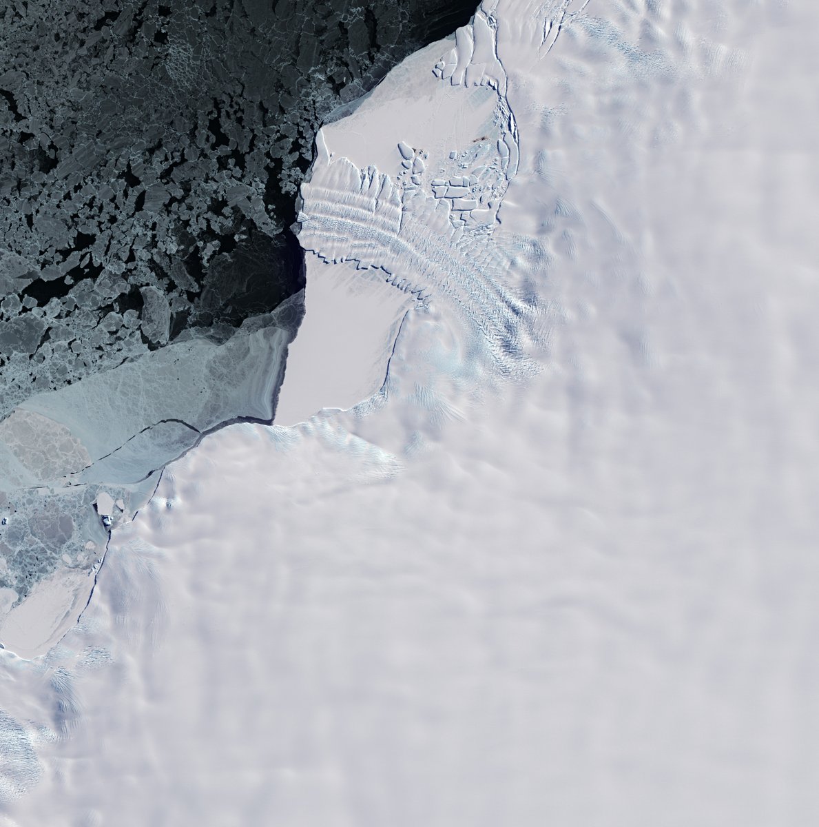 📷 This week's Earth from space features the ice tongue of the Dawson-Lambton Glacier in Antarctica.

The @CopernicusEU #Sentinel2 image features patterns on and around the glacier which depict crevasses and rumples, resulting from pressure as the glacier slides towards the sea.