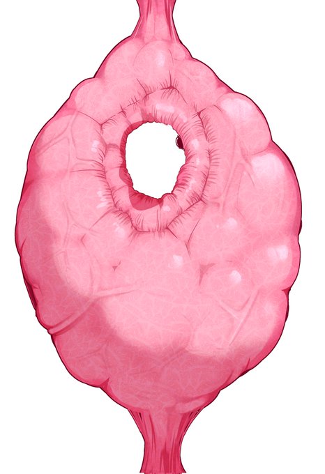 お好きにお使いください。 