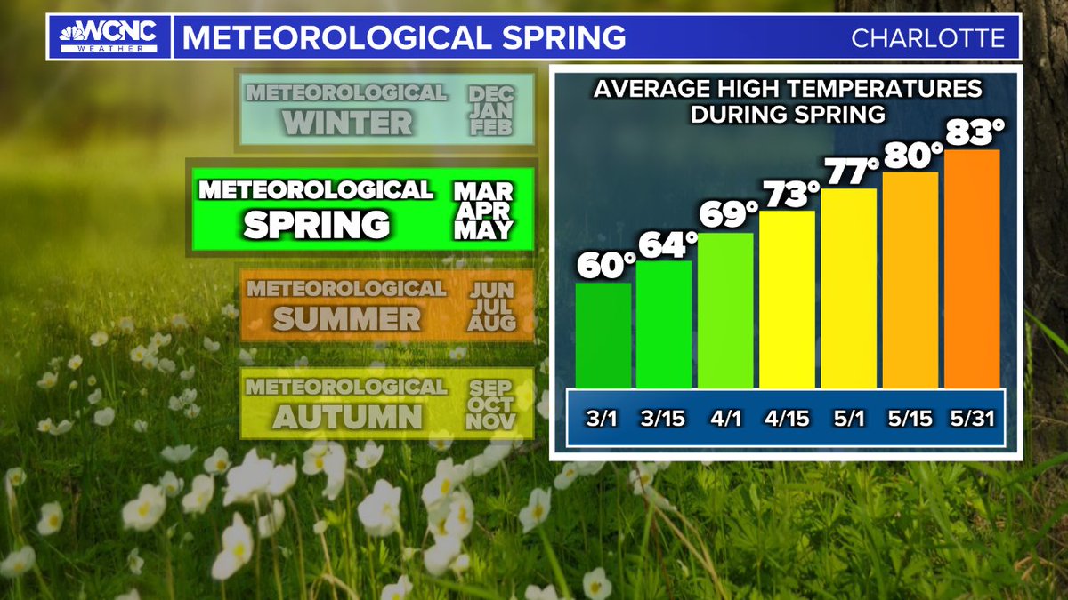 Brittany Van Voorhees tweet media