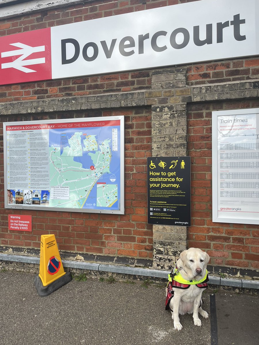 Samantha Leftwich TPT SLC tweet media