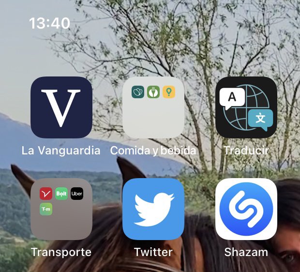 Soc l’única persona que no s’actualitza twitter/X, per seguir veient a l’ocellet? Pregunto.