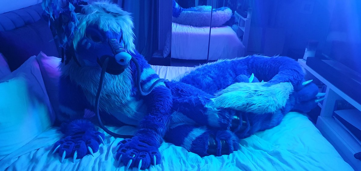 Their's room in the bed for one more 👑 Happy #FursuitFriday 🪡 @nukecreations