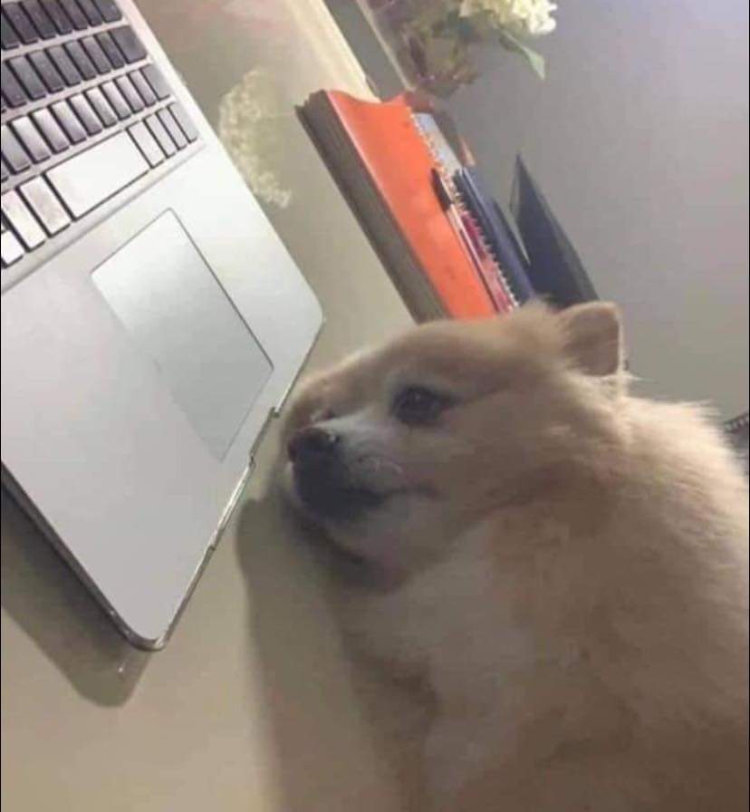 لما اخد بريك ف الشغل ويقلب معايا ببريك داون