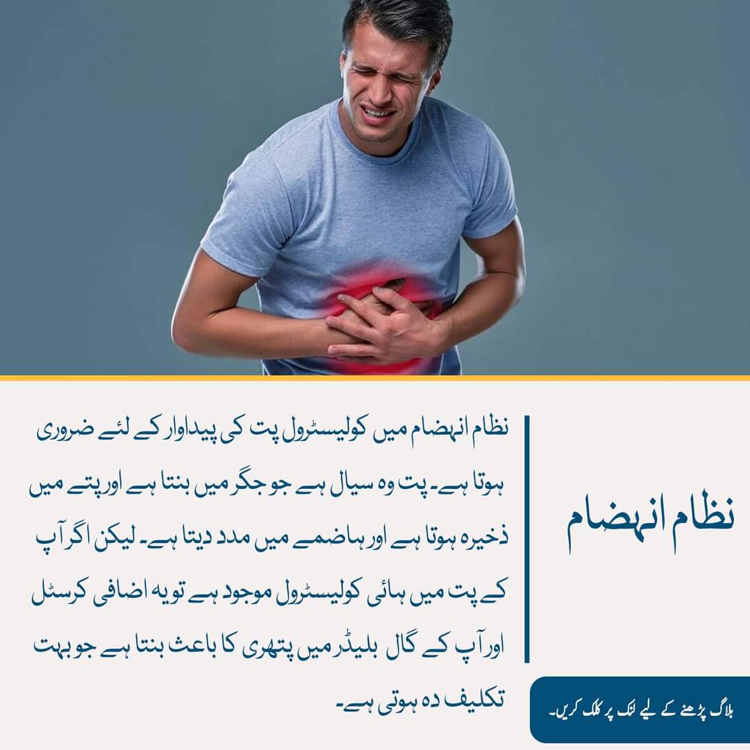 DCFAPakistan's tweet photo. ہائی کولیسٹرول آپ کی صحت کو کیسے متاثر کرتا ہے؟آئیے جانتے ہیں🙂🧐👇
https://t.co/jTnEcJ5TIv
#cholesterol #cholestrolcontrol #highcholesterol #highcholesteroldiet #highcholesterolproblems #Marham #fb #blogs #healthyfoods #healthylife https://t.co/vX7lGPXHWO