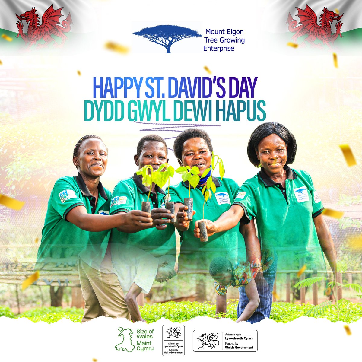 Happy St David's Day from Mount Elgon Tree growing enterprise to the people of Wales. We thank the Welsh Government through @sizeofwales for the support over the years. @walesintheworld @walesandafrica @JaneHutt