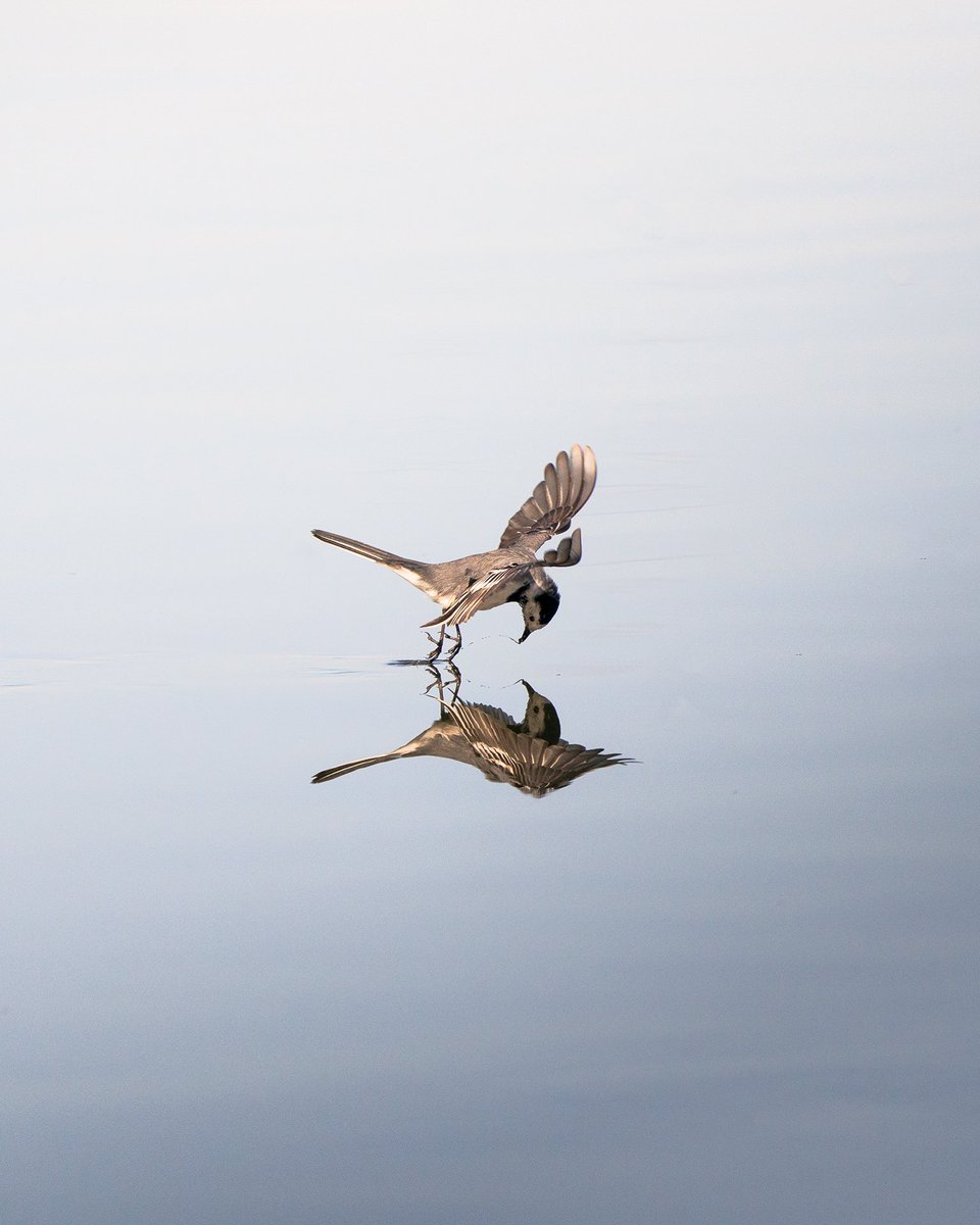 Nauzet Gonzalez tweet media