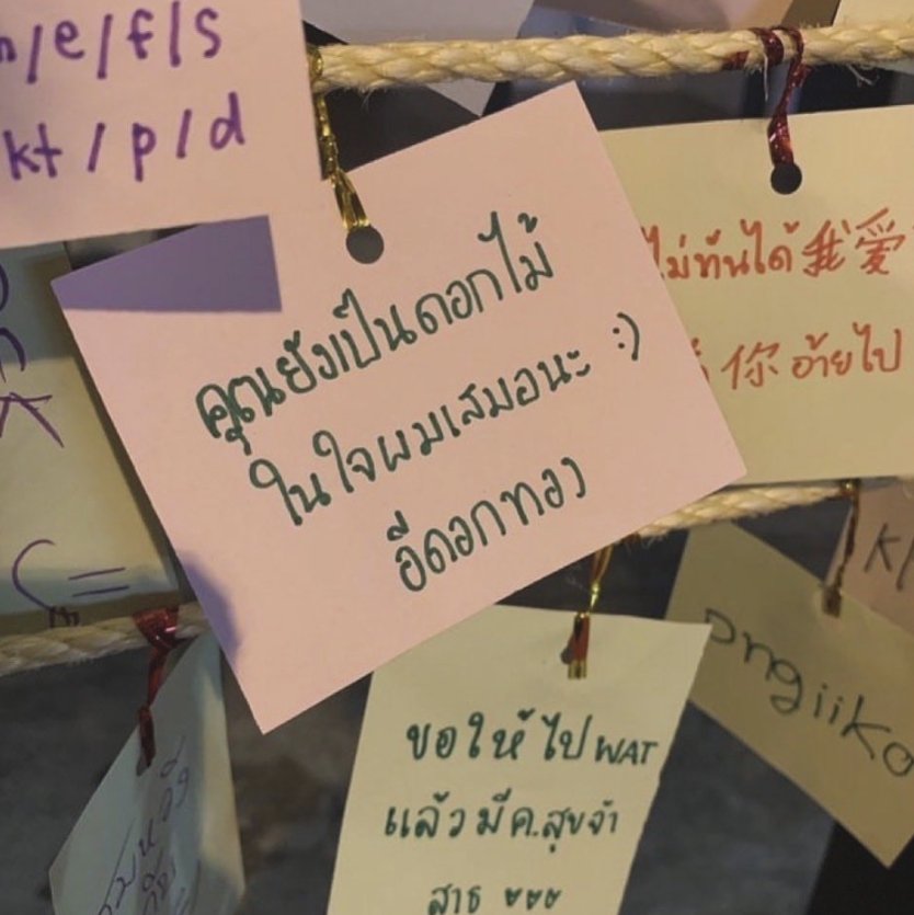 คุณยังเป็นดอกไม้ในใจผมเสมอนะ