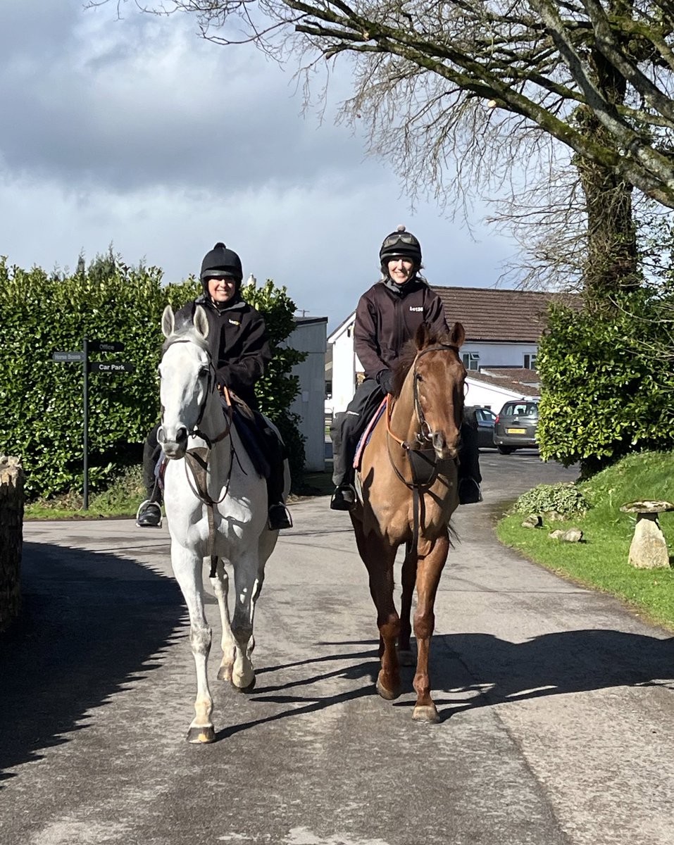 Golden Oldies!! Ramses De Teillee & Vieux Lion Rouge with regular riders Debbie & Julie this morning enjoying a hack in the sunshine ☀️ 🥰