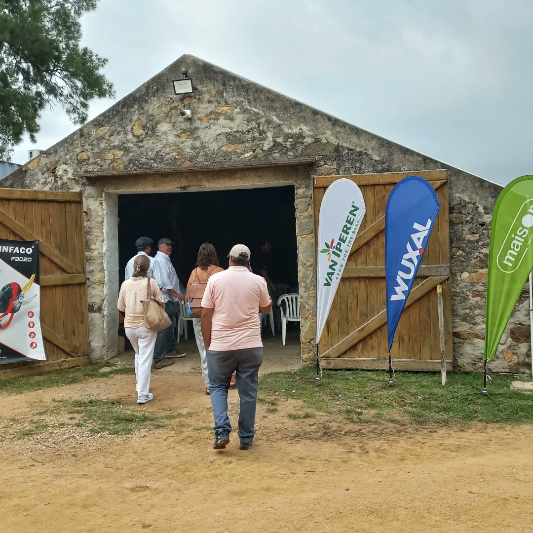 ialbanese_uy's tweet photo. @Maisor_Agro acompañando a nuestros cliente y amigos en una nueva jornada de ASOLUR. https://t.co/yB4Gpis3L7