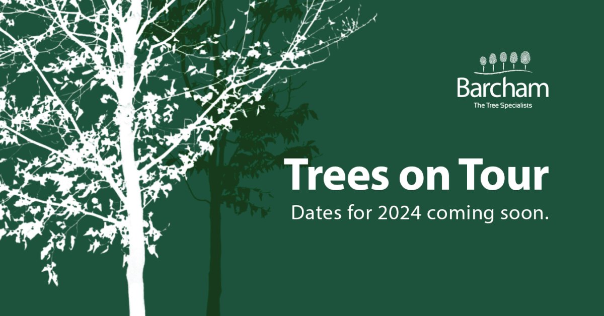 Barchamtrees's tweet photo. TREES ON TOUR 🌳🌎

Our first date for Trees on Tour 2024 will be announced shortly.

Keep an eye out for updates! 👀

#treesontour #treesontour2024 https://t.co/M6w8F4UPH2