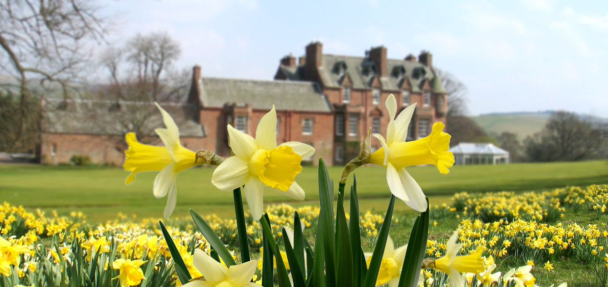 Happy St Davids Day

#daffodills #Springbreaks #CountryEstate