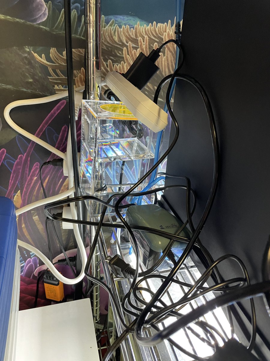 IsopodsAndMore's tweet image. Installed water reservoir and misting device.  Added an ABG mix and some leaf litter. Added Oreo crumble isopods and springtails to the new terrarium.  Next up find the right plants to make it green looking.  #dartfrogs #terrarium #diy #livebioactive #isopods #springtails…