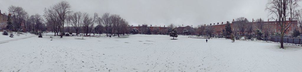 A snowy Merrion Square this morning ☃️