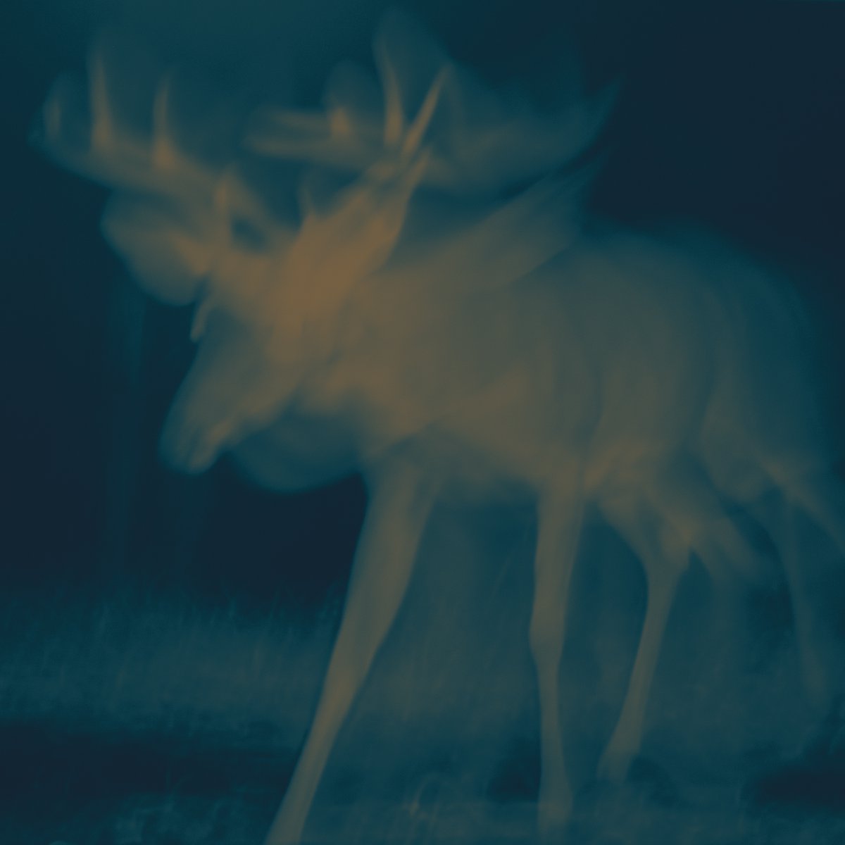 Laura Masotto's sophomore album "The Spirit Of Things" is out today.

Listen in full: 7k.lnk.to/TheSpiritOfThi…