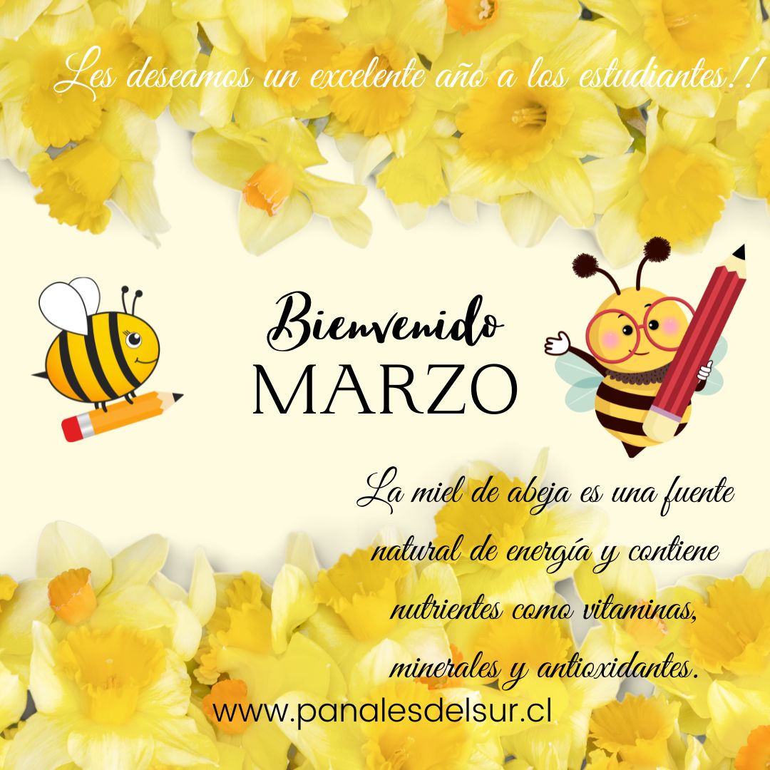 Bienvenido Marzo 2024!! y con ello los estudiantes empiezan el año escolar! No olviden que la miel de abejas es una fuente de energía para estar 100% activos para este nuevo desafío. #miel #mielnatural #mielpura #mielpanalesdelsur #MielSanLorenzo #mieldeabejas