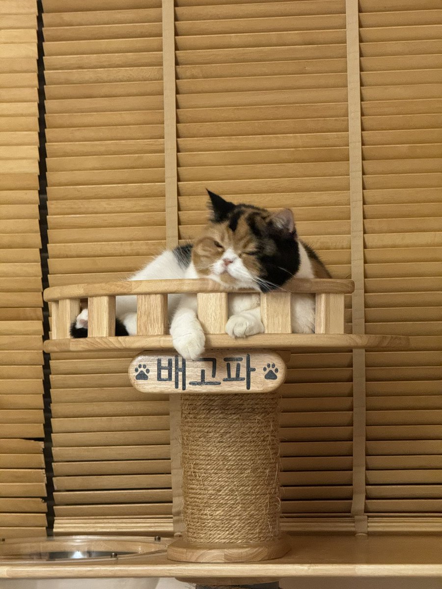 บีมกับน้องๆ tweet media
