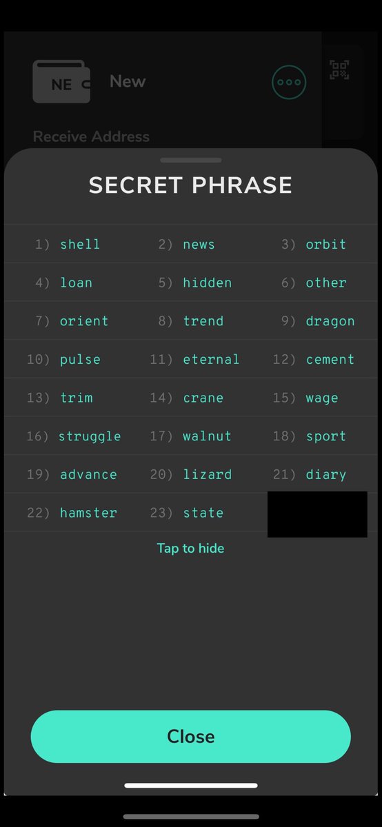 It’s past Feb. 29 and so the funds have moved to the ongoing funding pool and devfund. Just a little bit shy of 500 $KAS is waiting for the one who guesses the last word. This one’s definitely possible. Comment here when you get the #kaspa!