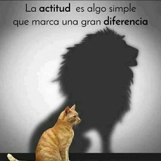 Rochiosoto's tweet photo. Así que con toda la actitud...
Excelente viernes, buenos días!.... https://t.co/IqlMIxwpAi