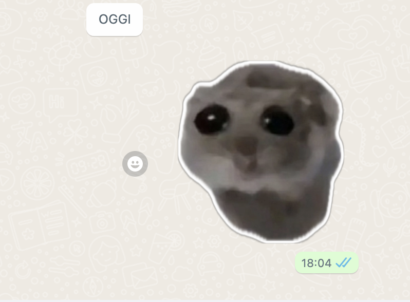 AmorosoOF's tweet photo. Che bell'anno che è stato febbraio ✨ https://t.co/yg4Hmcc4HW