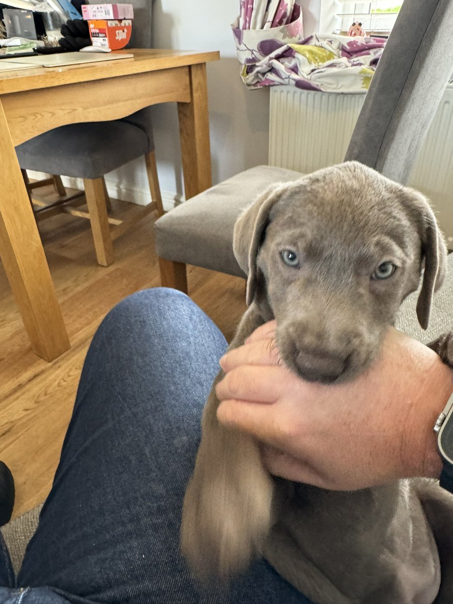 Andy Wilkins tweet media