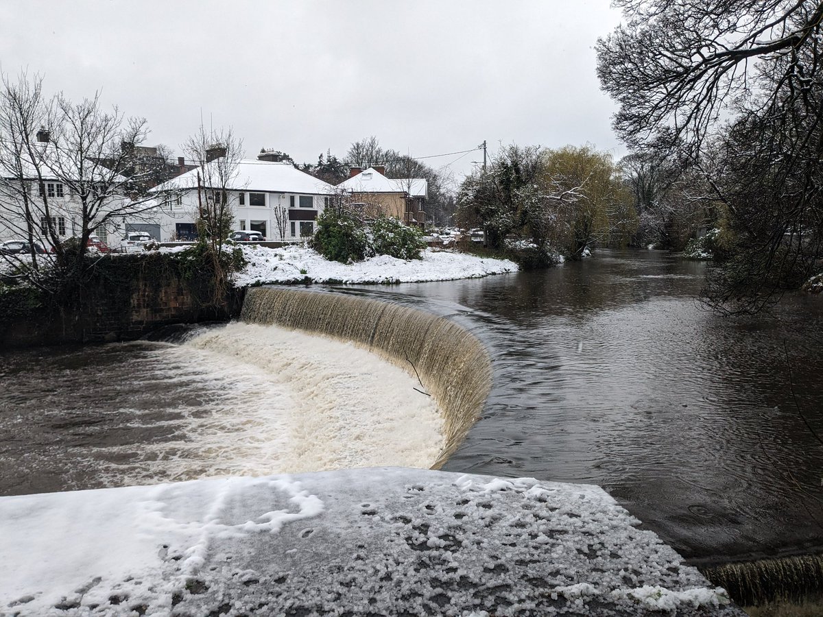 Snow turning to mush #dodder