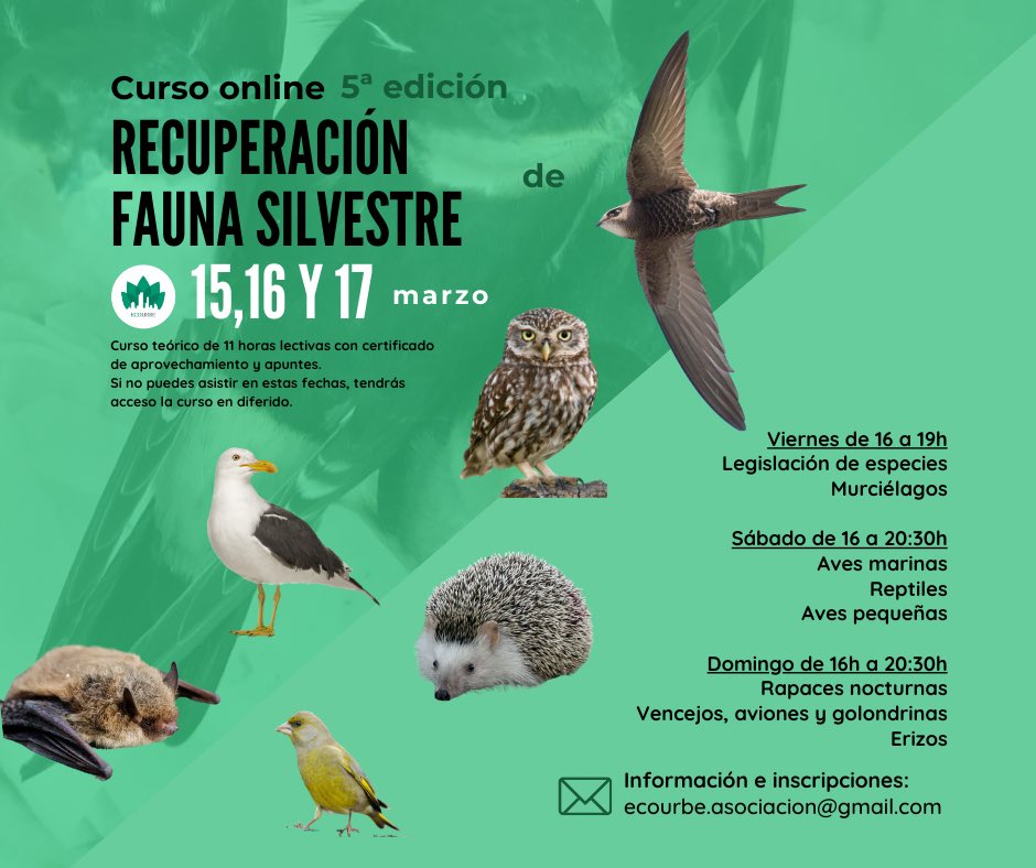 5ª Edición del curso de recuperación de fauna 🐣¡Este año con nuevas sesiones! Recomendado para: biólogos, veterinarios, ambietologos, estudiantes, centros de recuperación, forestales, agentes ambientales, voluntarios….
✉️Info e inscripción: Ecourbe.asociacion@gmail.com