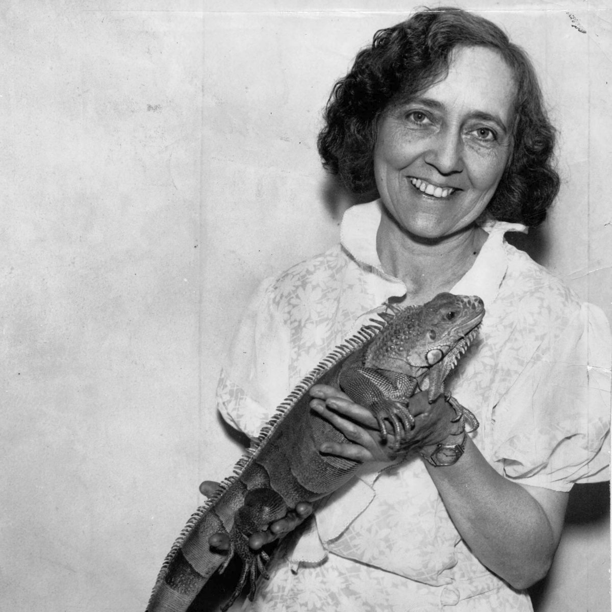 Grace Wiley “The Snake Lady' was a reptile trainer, snake enthusiast and Natural History Museum curator at the Minneapolis Public Library from 1922 until 1933. #ArchivesWomenInSTEM Learn more in Special Collections at Minneapolis Central Library.