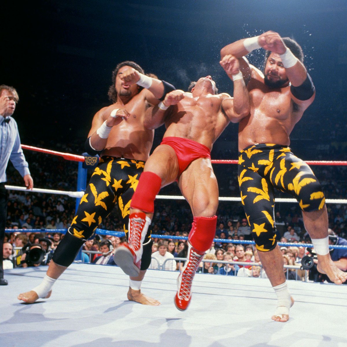 📸 WWF Action Shot! #WWF #WWE #Wrestling #PaulRoma #Haku #Tama #TheIslanders