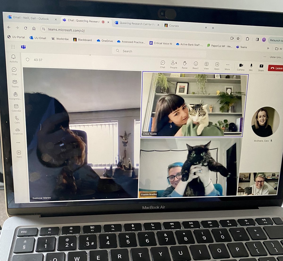 I can’t promise that all members of our Queer/ing Research conference committee will be present at the actual event, but their contribution at the planning stages is encouraged! 🐈🐶🐈