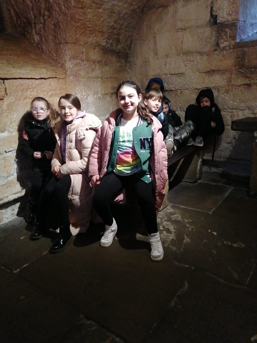 Year 4 HighStPrimary tweet media