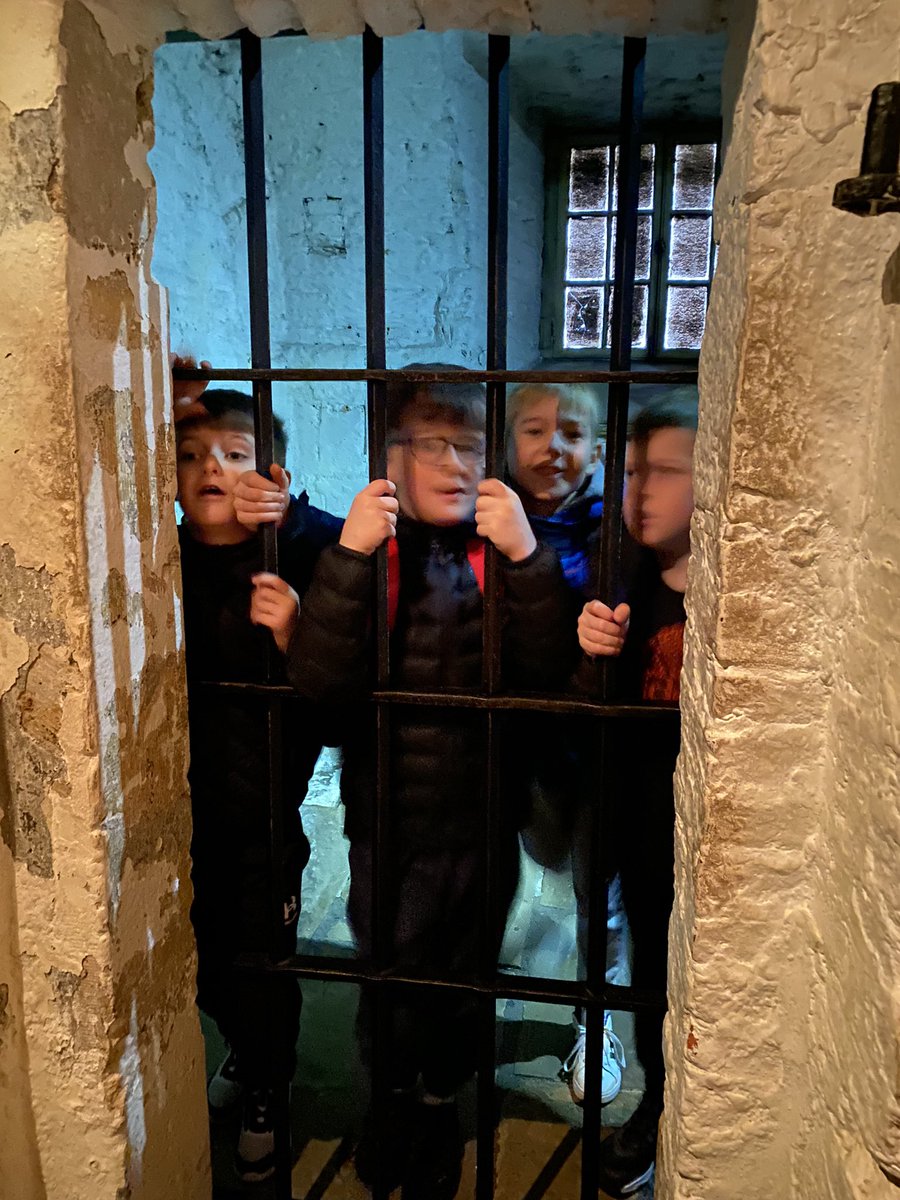 Year 4 HighStPrimary tweet media