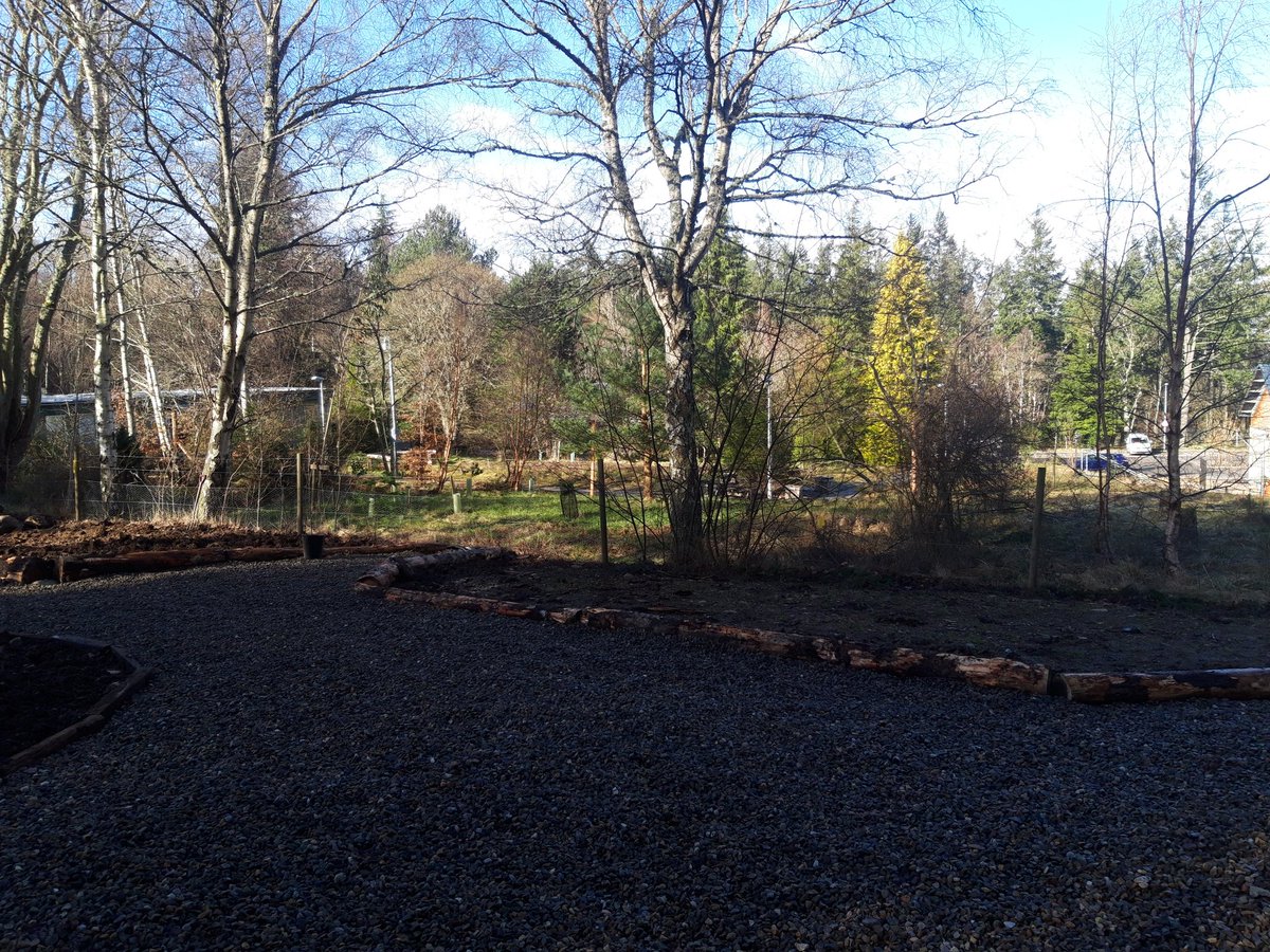 Bell Harper (@bell66martin) on Twitter photo Super proud of my #horticulture students & senior phase students <a href="/ssf_uhi/">Scottish School of Forestry</a> Been a tough winter doing landscaping but finally finished. Now we can finally plant! Thank you so much to everyone who has donated us plants! <a href="/ThinkUHI/">UHI</a> <a href="/inthebotanics/">@INtheBotanics</a> #NextgenHortHNC #gardening #education Super proud of my #horticulture students & senior phase students <a href="/ssf_uhi/">Scottish School of Forestry</a> Been a tough winter doing landscaping but finally finished. Now we can finally plant! Thank you so much to everyone who has donated us plants! <a href="/ThinkUHI/">UHI</a> <a href="/inthebotanics/">@INtheBotanics</a> #NextgenHortHNC #gardening #education