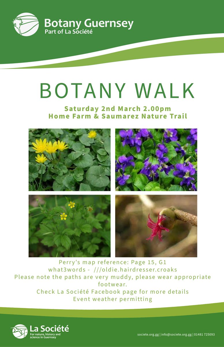 Our next Botany Walk is tomorrow. It will be through part of the Saumarez Park Nature trail, heading along the footpath, through some of the woodland and returning along Ruette de la Tour. It is muddy, so if you are coming you'll need appropriate footwear. All very welcome.