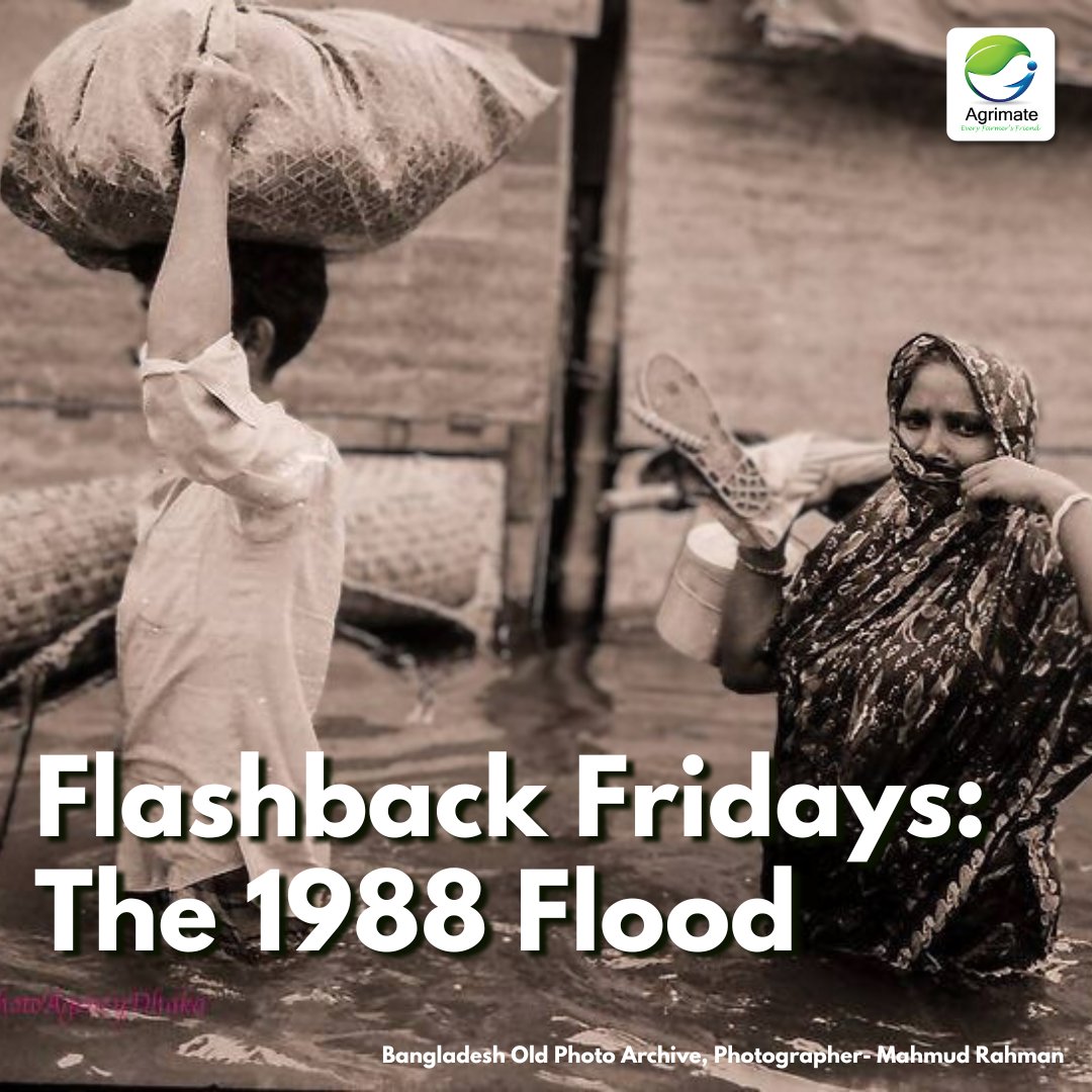 🌊 Flashback Fridays: Remembering the 1988 Flood in Bangladesh.

See the full post in our Linkedin: linktr.ee/agrimate?utm_s…

#bangladesh #1988 #1988flood #agriculture