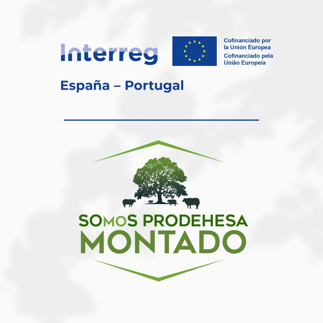 🌳 ¡Conoce el Proyecto SOS PRODEHESA MONTADO! 🌳 Modelos de #sostenibilidad integral y #resiliencia de la #dehesa-#montado frente a las amenazas climáticas. Este proyecto esta Cofinanciado por el programa @POCTEP #SOSProdehesaMontado #SOmoSProdehesaMontado