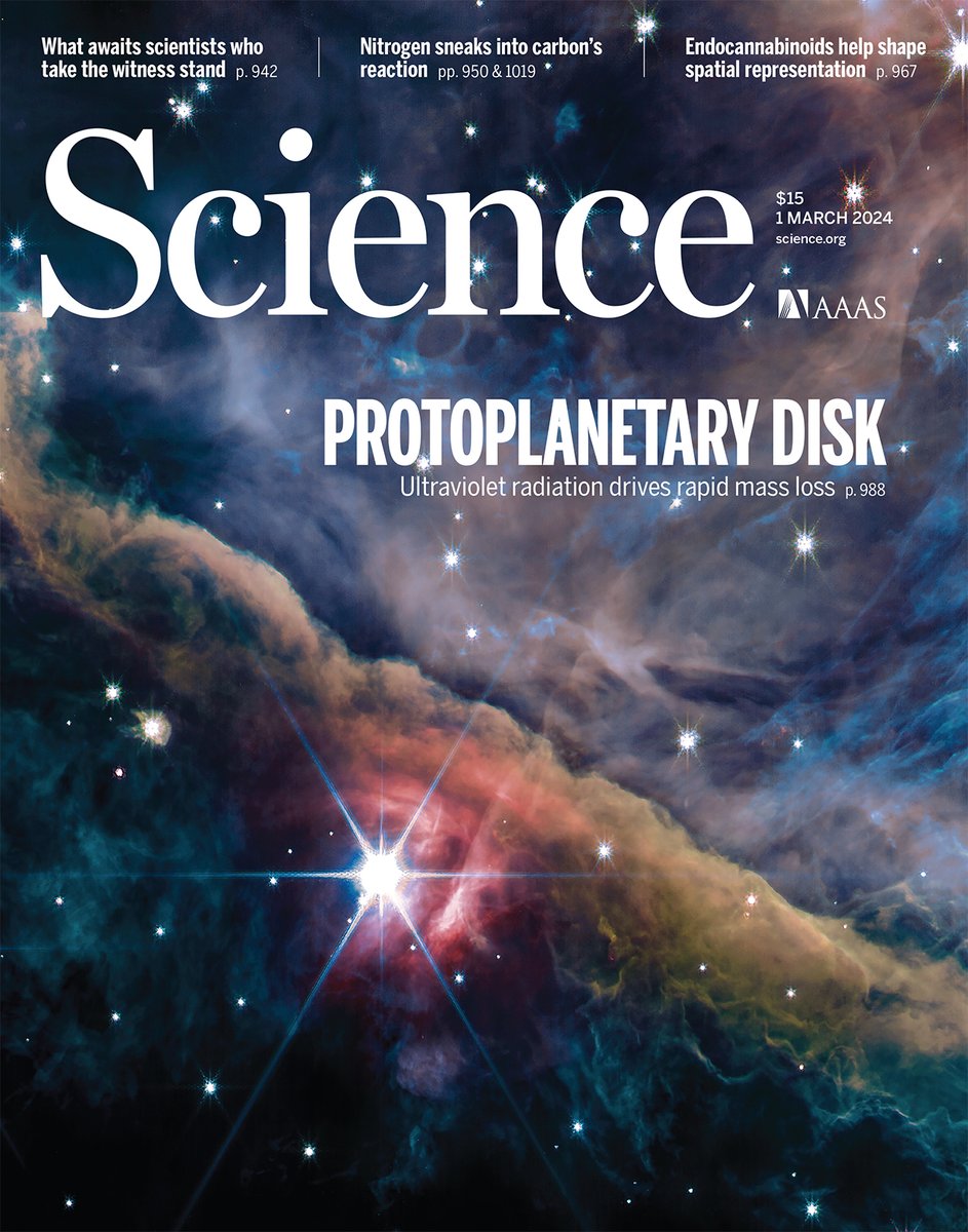 Keith Smith (@drkeithsmith) on Twitter photo On the cover of <a href="/ScienceMagazine/">Science Magazine</a> this week: an infrared image of part of the Orion Nebula, taken by the PDRs4All project using #JWST. Hot ionised plasma (upper right) and cool molecular gas (lower left) are separated by the Orion Bar (orange).
science.org/toc/science/38… On the cover of <a href="/ScienceMagazine/">Science Magazine</a> this week: an infrared image of part of the Orion Nebula, taken by the PDRs4All project using #JWST. Hot ionised plasma (upper right) and cool molecular gas (lower left) are separated by the Orion Bar (orange).
science.org/toc/science/38…
