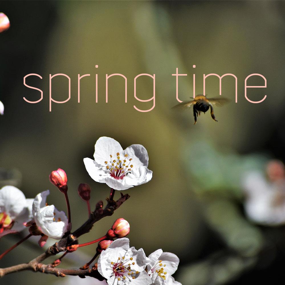 SoldByJenniMac's tweet photo. Spring is such a beautiful time of year! Make sure to get outside (and avoid the pesky showers).
The MAC Team
Berkshire Hathaway HomeServices RW Towne Realty
https://t.co/YLRLMRBVFC
#MACTeam #Your911Realtor #757REALTOR #MCSOLD757 #MCSOLD #GETMcSOLD #McSOLDcares https://t.co/elVgW5I7Eg