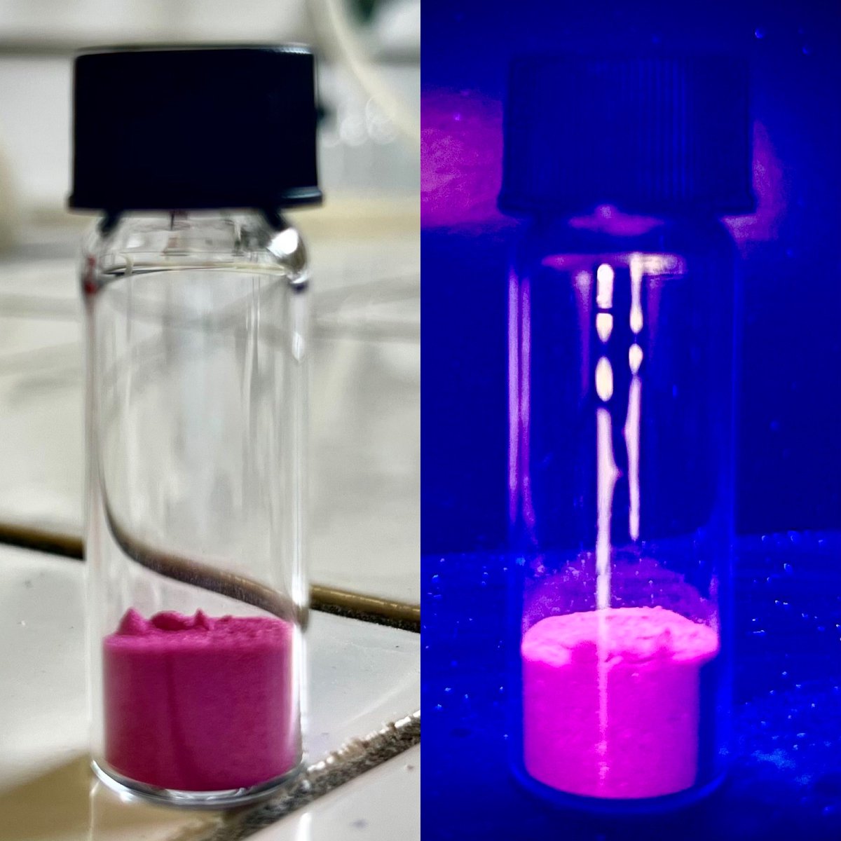 e_tacke's tweet image. Love compound 🩷❤️🌸
Back for #FluorescenceFriday !
@AChevalier18's lab
@ICSN_lab