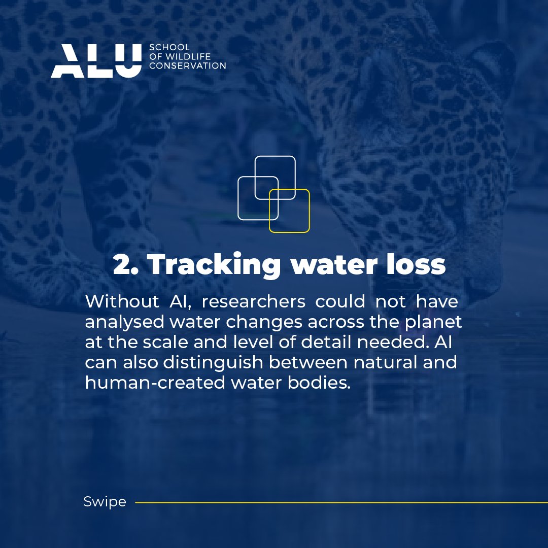 aluconservation's tweet photo. Discover how cutting-edge technology is reshaping wildlife conservation, with AI leading the way in safeguarding our planet's most vulnerable species. Read the full article at: https://t.co/y3MjaoJMUc
#AIInConservation #TechInConservation https://t.co/jnAI0lpRbM