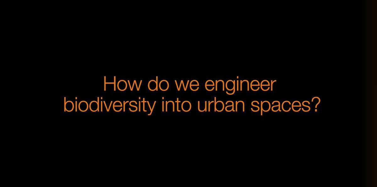 To see how Dr Lena Ciric @CEGE_UCL and her colleagues at UCL People and Nature Lab have been working on ways to answer how we can engineering biodiversity into Urban Spaces check out our Disruptive Thinkers video series 👇 ucl.ac.uk/engineering/re…