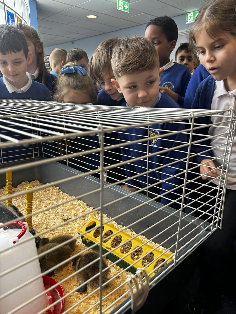 Class 2H tweet media