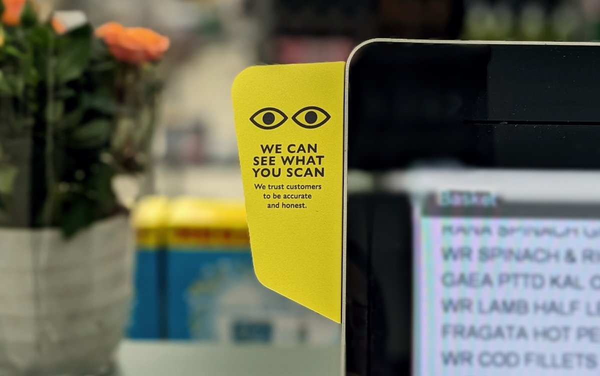 kate bystrova tweet media