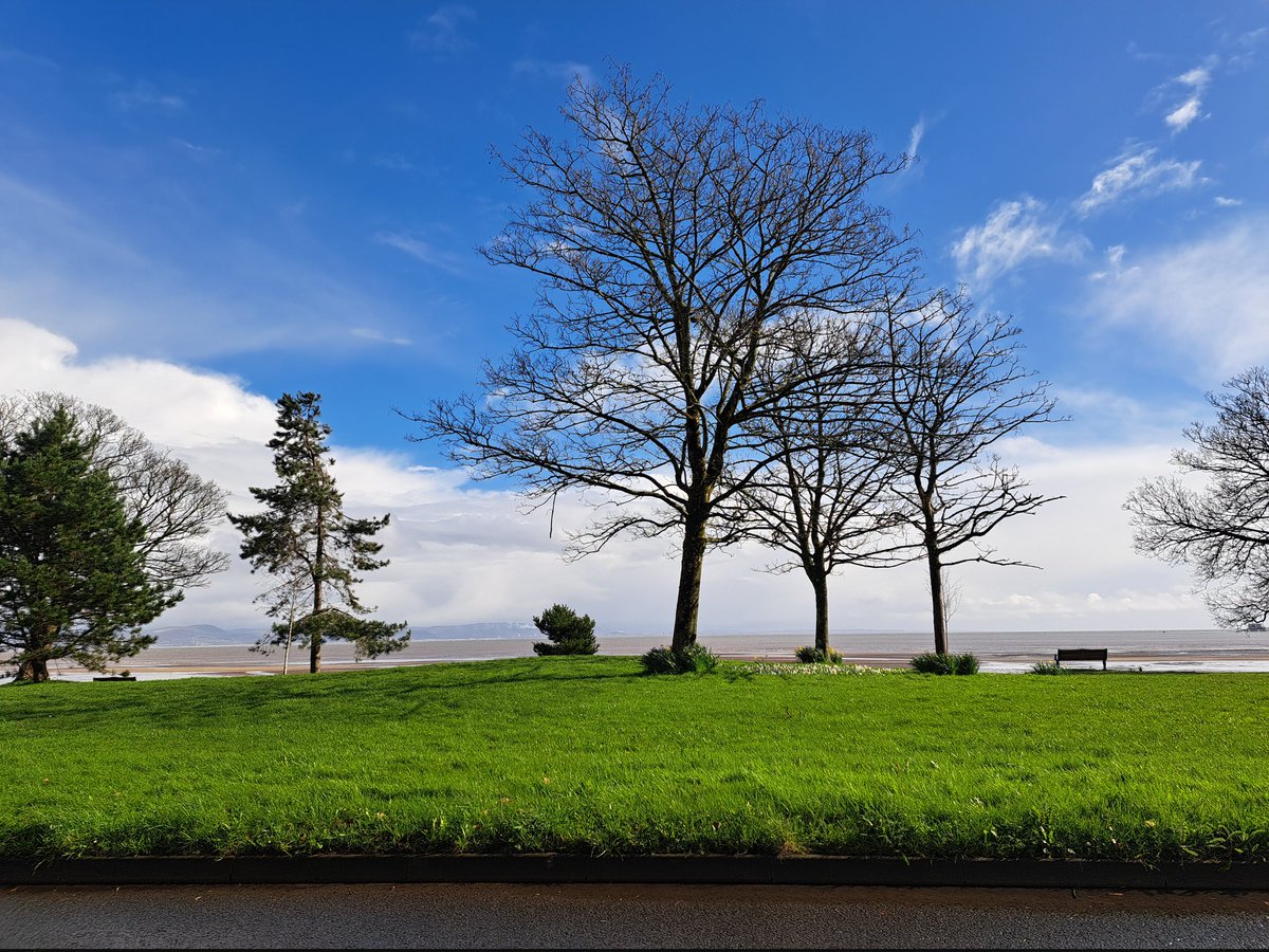 Tracy Rees tweet media