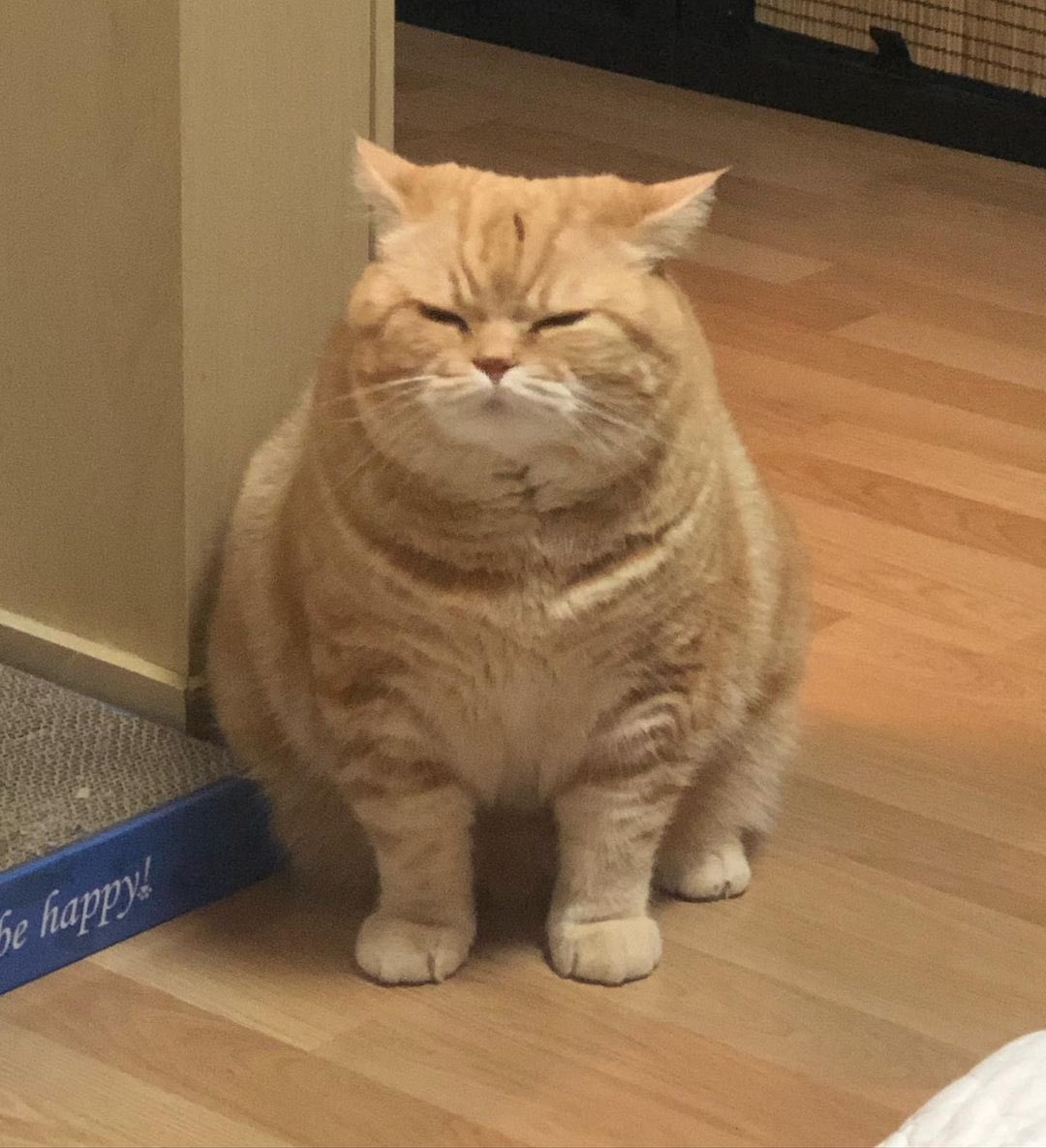 เพราะว่าทุกทีที่ฉันมองตาเธอ มันก็เบลอกลายเป็น “เขา”